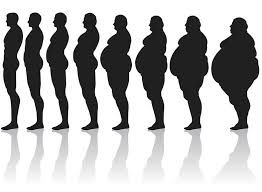 Билкови рецепти при затлъстяване - Obesitas